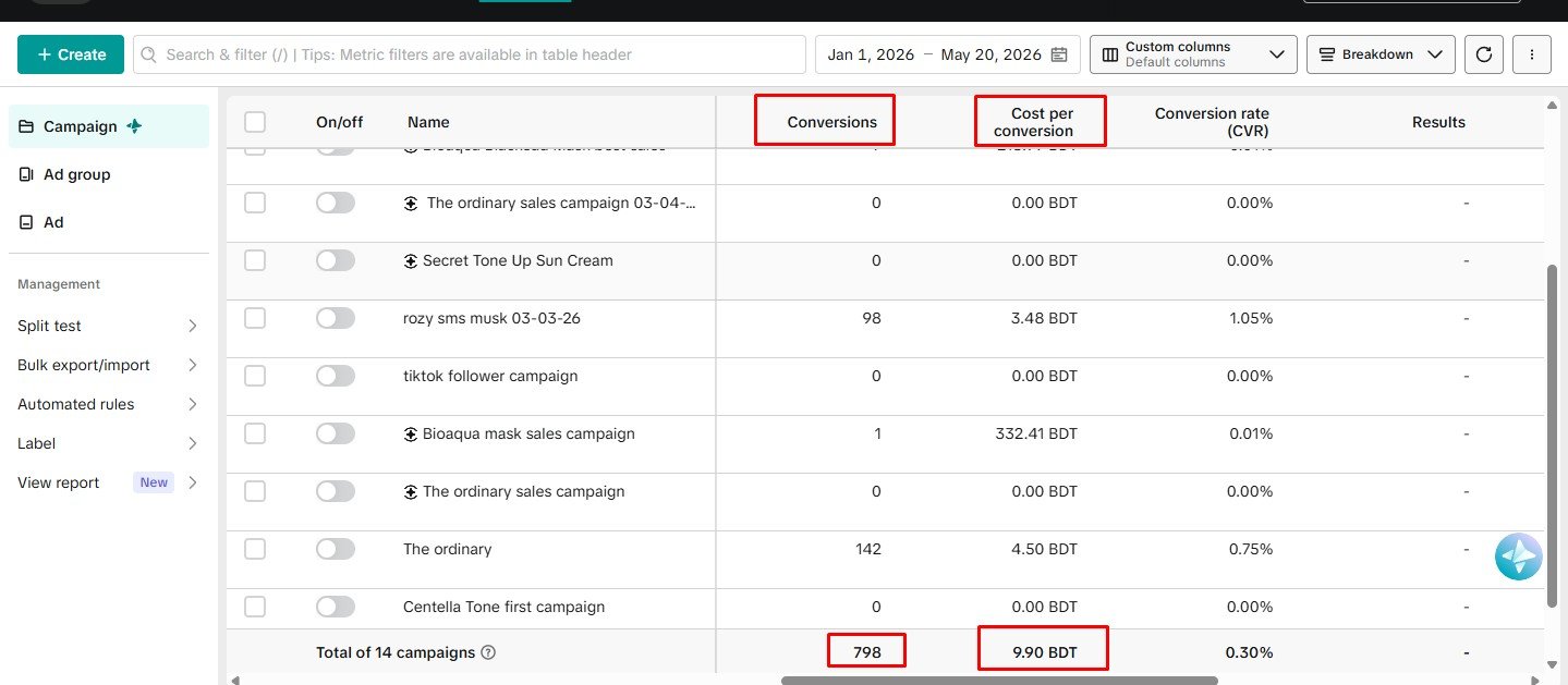 TikTok Ads Result